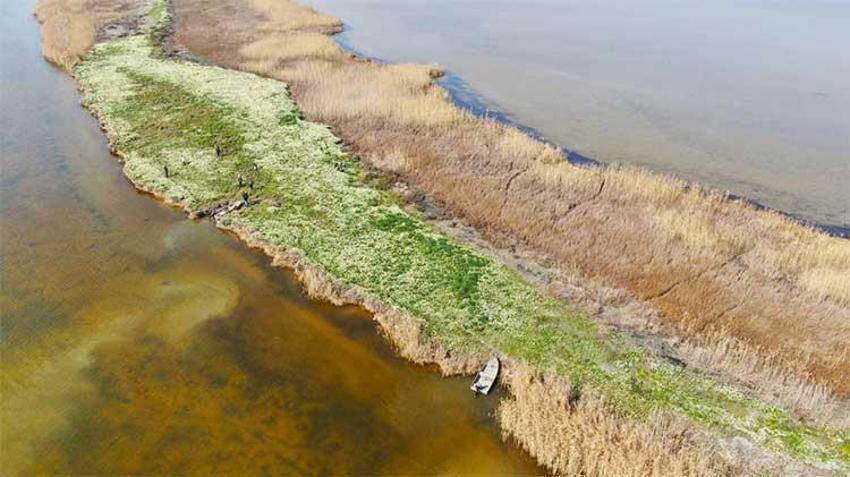 Adana'da vatandaşlar 5 yıl önce keşfetti hemen korumaya alındı! Gizli cennet herkesi büyülüyor