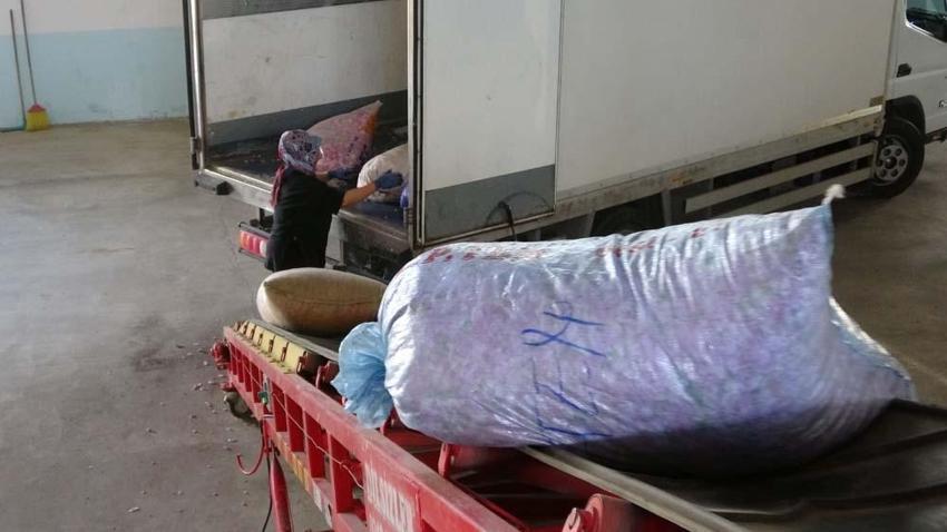Bir litresi 400 bin lira ediyor! Fransa İngiltere, Amerika Hindistan ve Japonya'ya ihraç ediliyor