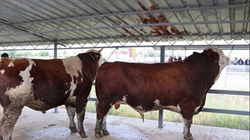 Özel sektör bayram tatili kaç gün 2024, kurban bayramı tatili özel sektörü kapsıyor mu? 9 günlük bayram tatili kimleri kapsıyor, özel sektör 9 gün tatil mi?