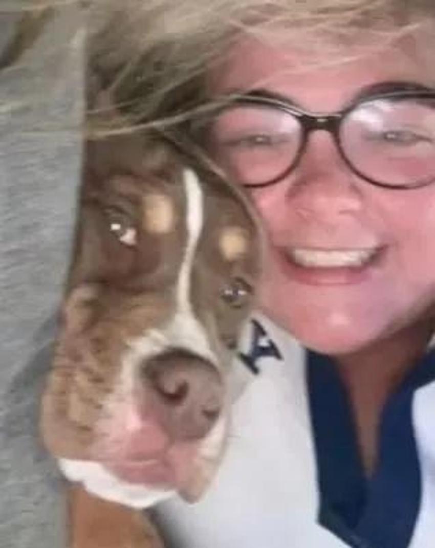 Doğum gününde köpeğinin saldırısında böyle can verdi: Çok mutluyuz videosu hayatına mal oldu! İşte korkunç anlar