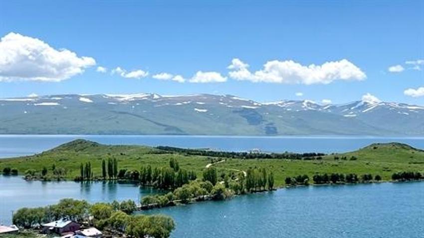 Çıldır Gölü, kuş cennetine döndü! Hepsinin ayrı bölgesi var