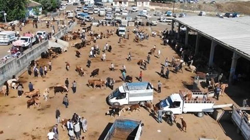 Diyarbakır'da kurban pazarında satıcılara sahte para uyarısı