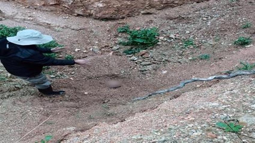Adana'da korkunç olay: İpek, 'tetikçi' olarak gönderildiği kişiyi öldüremeyince infaz edilmiş