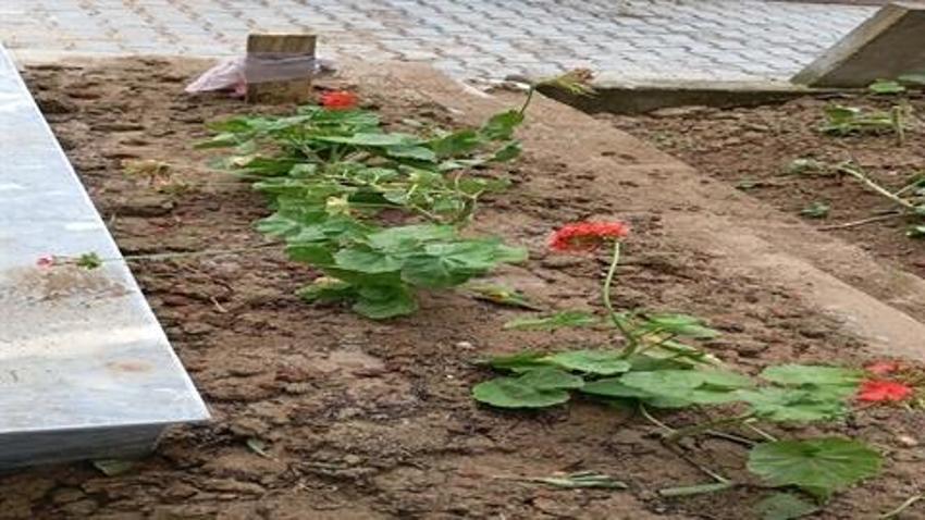 Enkazdan çıkarılıp İzmir'e sevk edilen kzının mezarı Kahramanmaraş'ta çıktı! Acılı anne yeniden DNA testi istedi