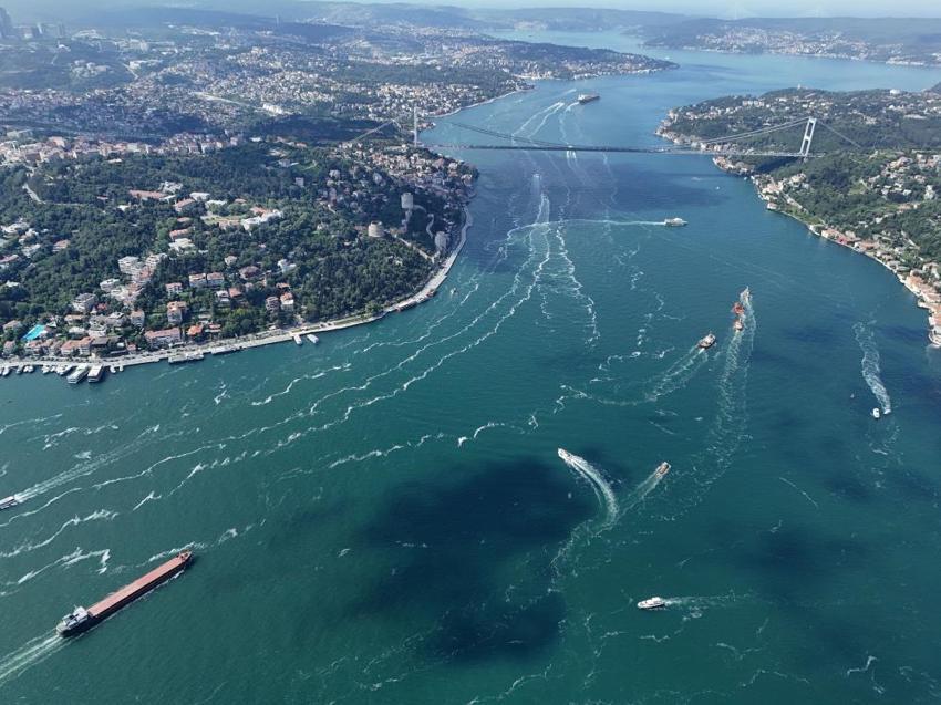 İstanbul'da müsilaj kabusu yeniden hortladı! 'Uykusundan uyanan ayılara benziyor'