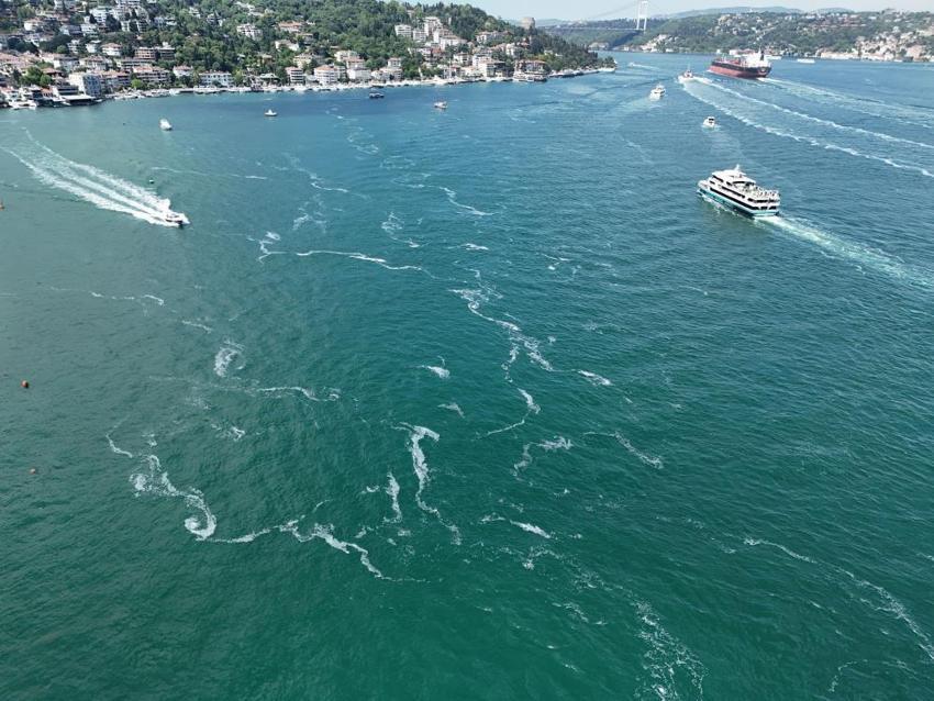 İstanbul'da müsilaj kabusu yeniden hortladı! 'Uykusundan uyanan ayılara benziyor'