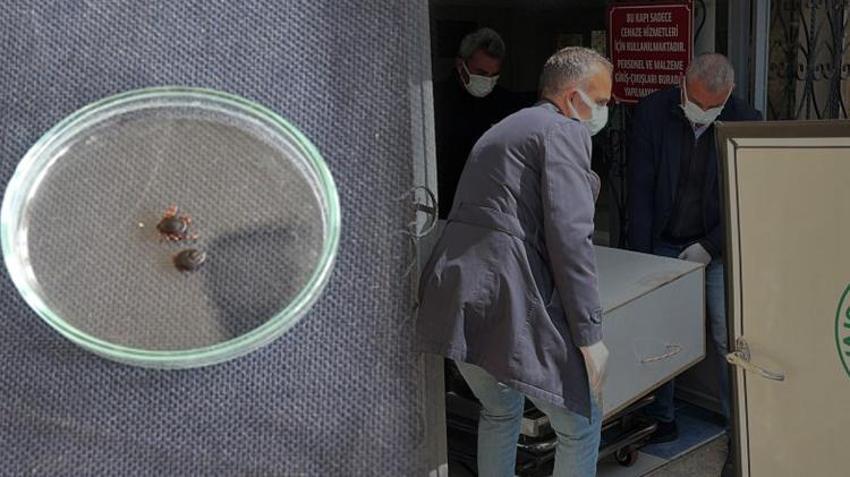 Sivas Valiliği uyardı: 22 vaka tespit edildi 3 kişi öldü 300 kişi tedavi görüyor