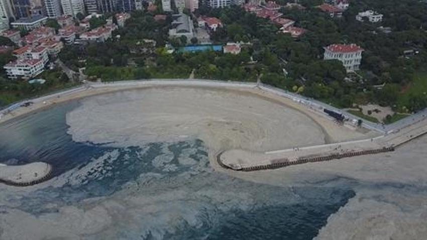 Marmara Denizi'nde bu yaz müsilaj oranı çok düşük! 