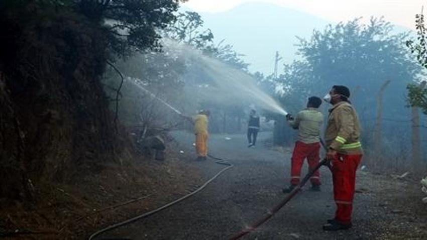 Adana'da 2 günde 10 orman yangını çıktı, profesör uyardı