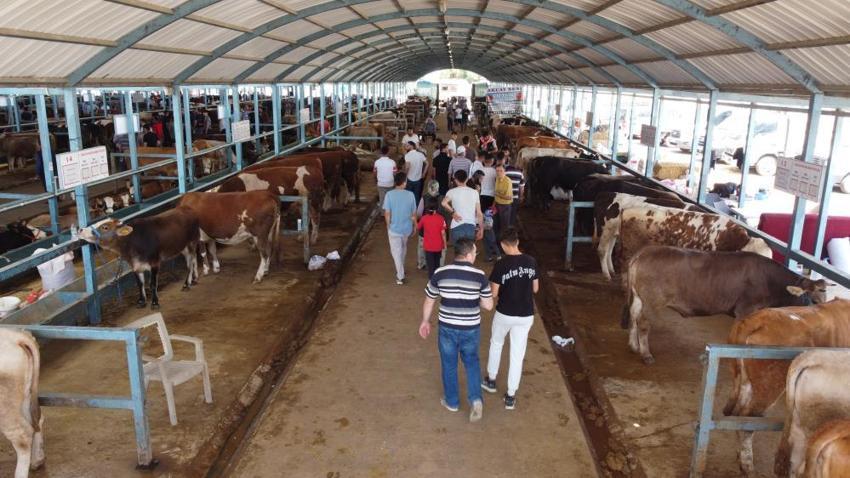 Kurban Bayramı öncesi sahteciliğe dikkat! Hem alıcılar hem de satıcılar tehlikede
