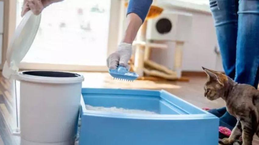 Banyoda durunca zehir saçıyor; Bu eşyalar nemlenince mikrop yuvasına dönüşebilir