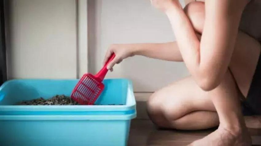 Banyoda durunca zehir saçıyor; Bu eşyalar nemlenince mikrop yuvasına dönüşebilir