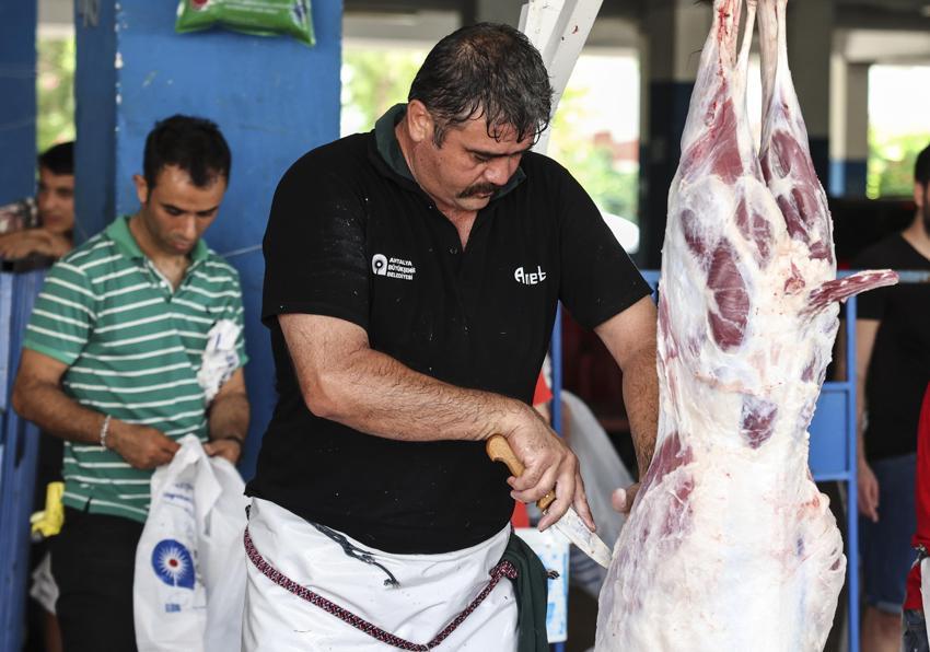 Kurban eti nasıl pay edilir? Kurban eti kaç pay dağıtılır, kaça bölünür? İşte kurban eti paylaşımı ayeti...