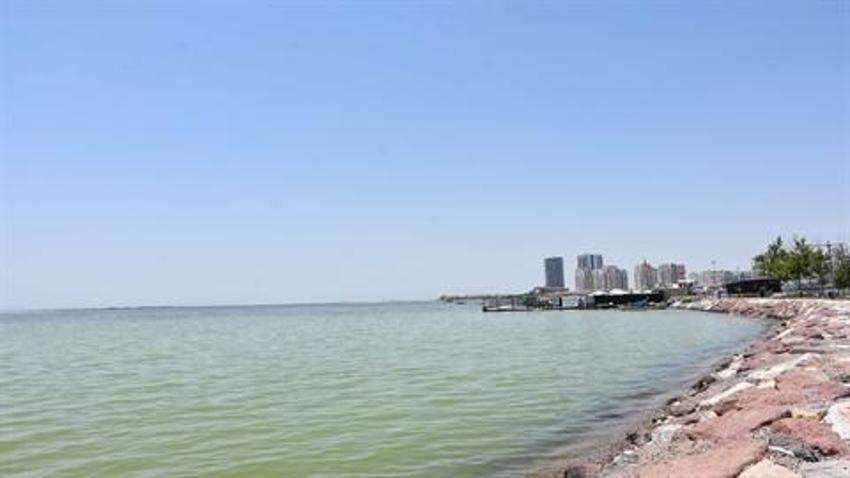 İzmir'de denizin rengi yeşile döndü!