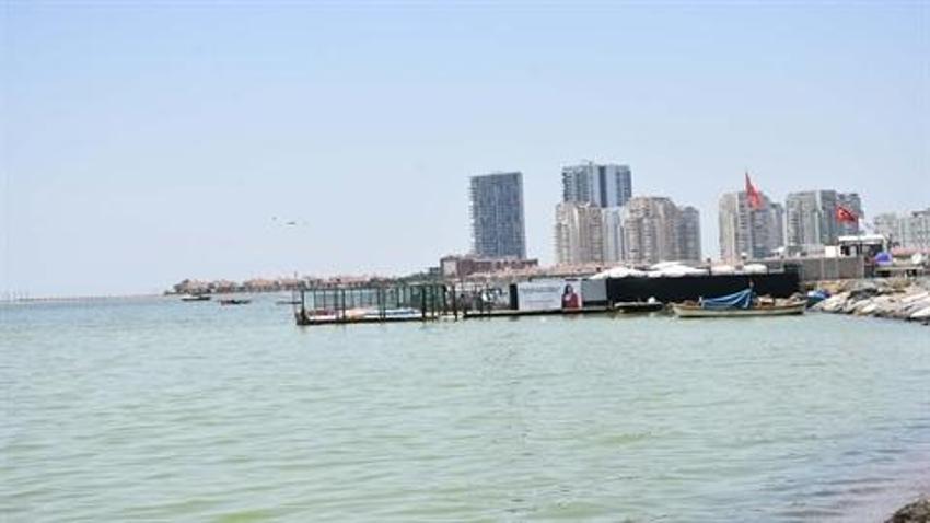 İzmir'de denizin rengi yeşile döndü!