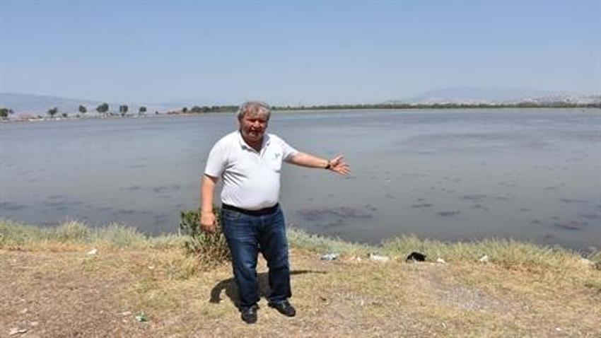 İzmir'de denizin rengi yeşile döndü!
