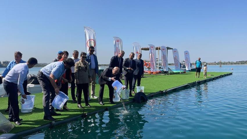 2 milyon 250 bin yavru balık sulara bırakıldı