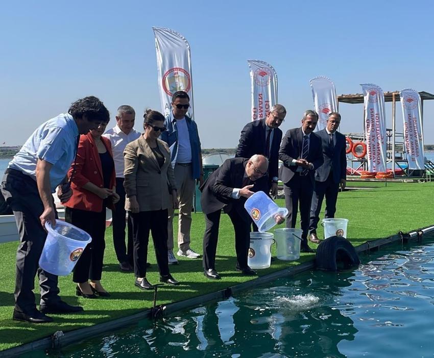 2 milyon 250 bin yavru balık sulara bırakıldı