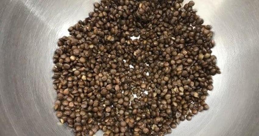 Yaz salatasına buyurun: Köz biberli yeşil mercimek salatası tarifi!