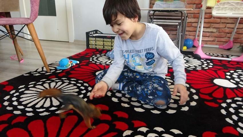 Adana'da doğada buldukları sincabı kışın korudular, yazın doğaya bıraktılar