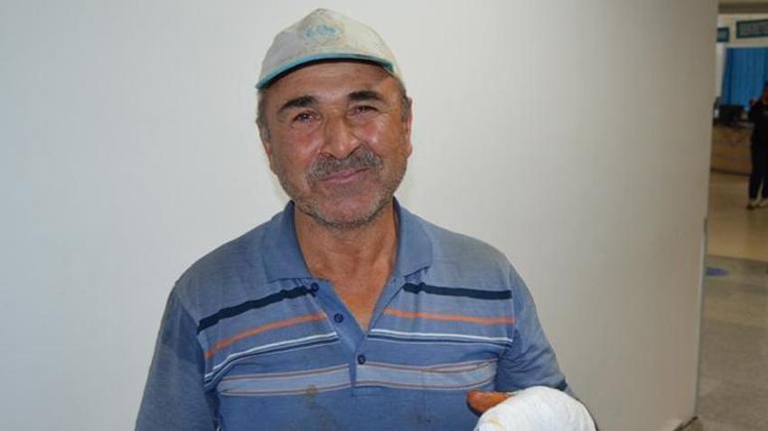 Kızgın boğa mezarlığa daldı: İki kişiyi yaraladı, kabir ziyaretine gelenler çıkartıldı