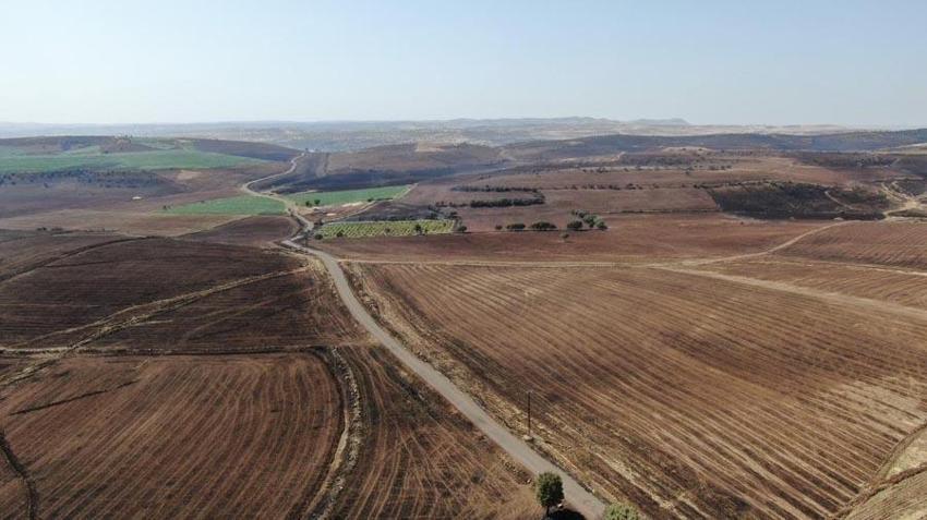 Anız yangınında ölü sayısı 12 oldu! Mardin'de 5 noktada yangın çıktı