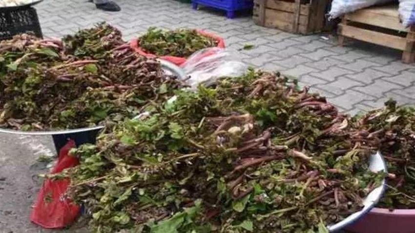 Bu otun faydası yumurtayla birlikte ortaya çıkıyor!