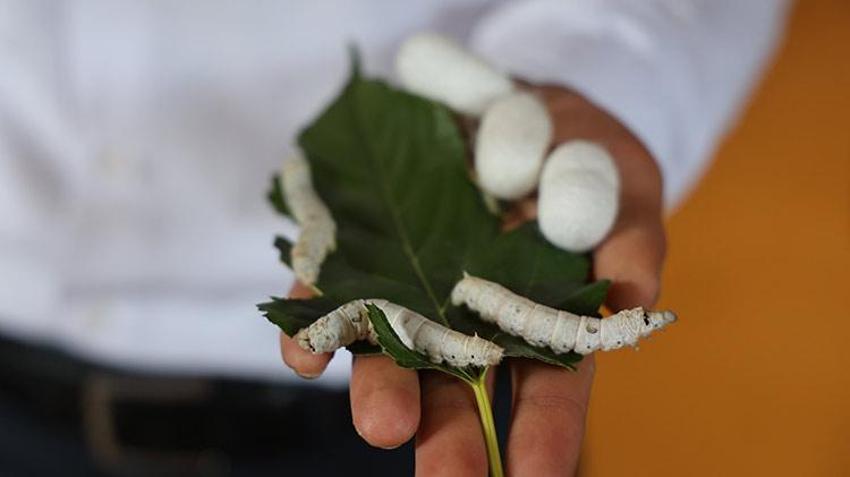 Babaannesinden esinlendi, yaşadığı şehirde bir ilke imza attı, şimdi paraya para demiyor