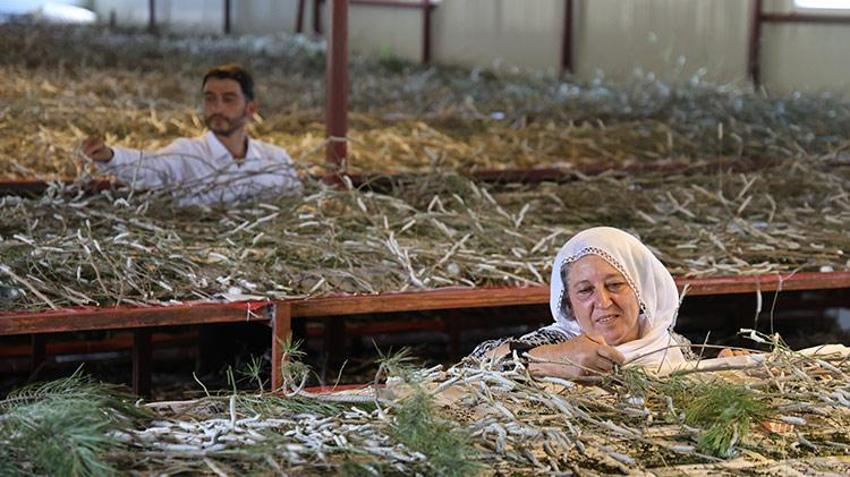 Babaannesinden esinlendi, yaşadığı şehirde bir ilke imza attı, şimdi paraya para demiyor