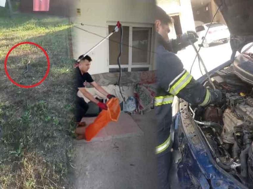 Adana'da aşırı sıcaklar sonrası sayı tavan yaptı! Uzmanlardan uyarılar peş peşe geldi
