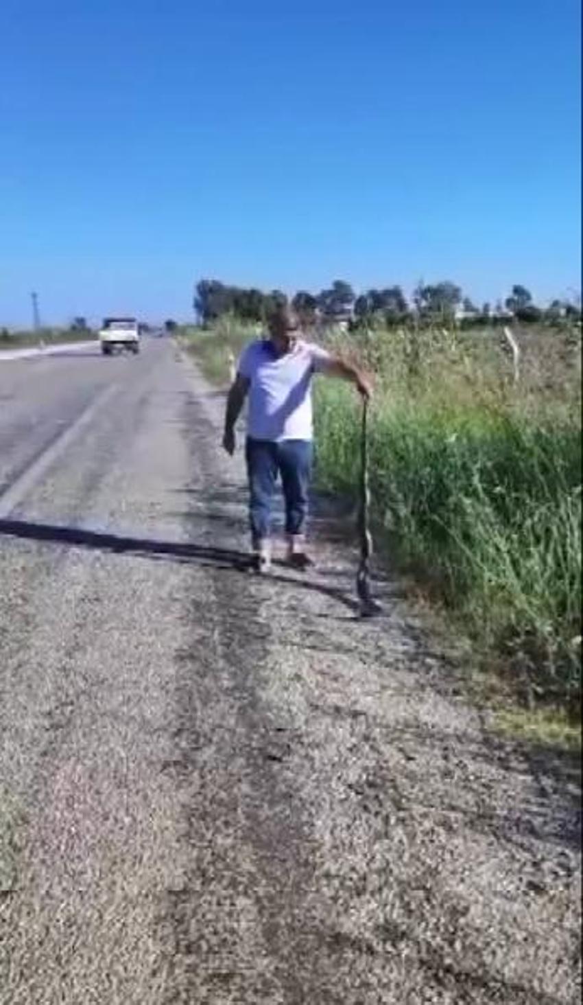 Adana'da aşırı sıcaklar sonrası sayı tavan yaptı! Uzmanlardan uyarılar peş peşe geldi