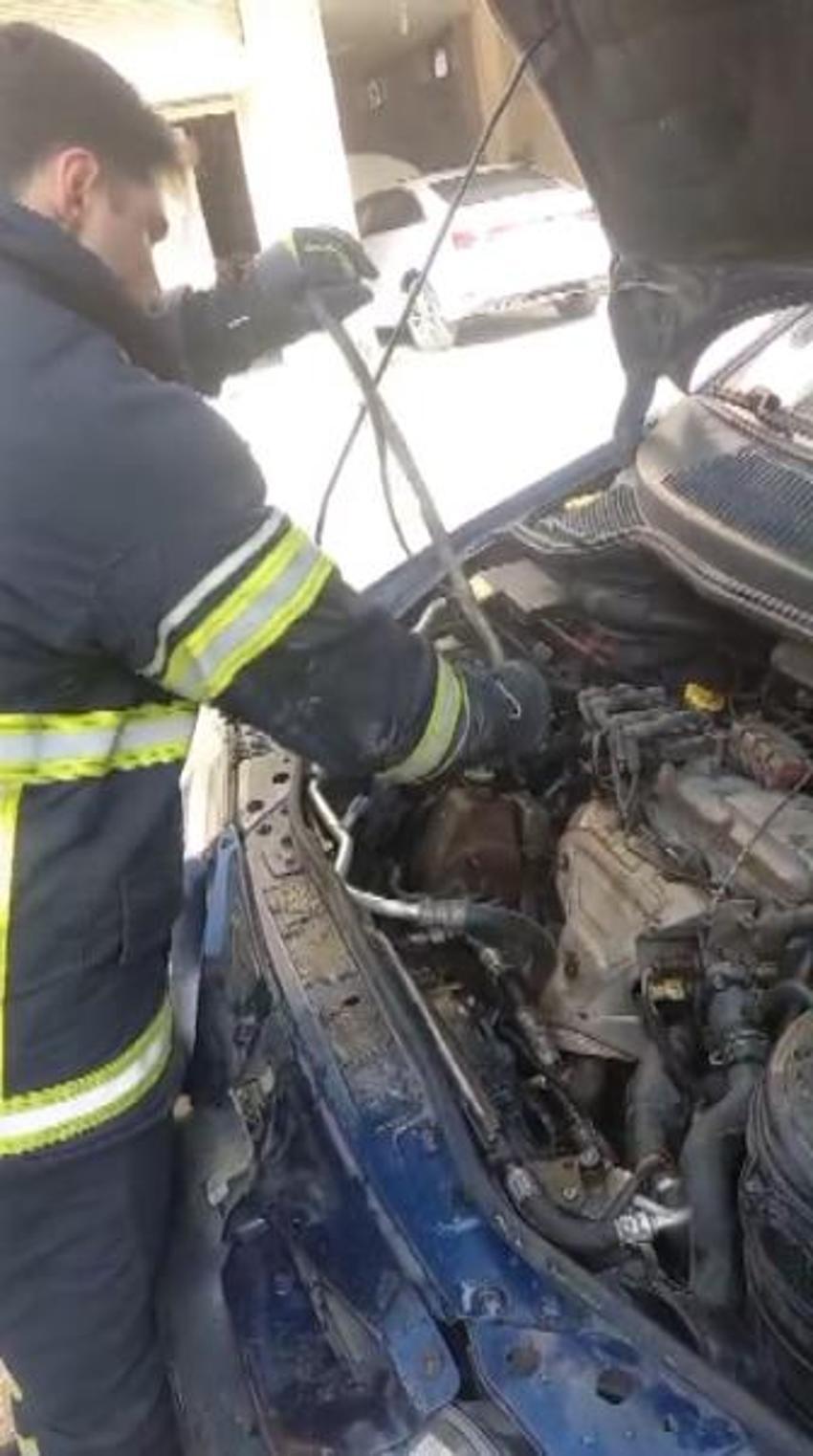 Adana'da aşırı sıcaklar sonrası sayı tavan yaptı! Uzmanlardan uyarılar peş peşe geldi