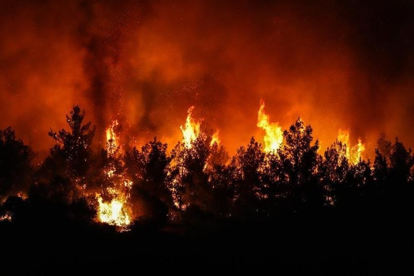 İzmir'de büyük yangın: Müdahale sabah saatlerinde yeniden başladı