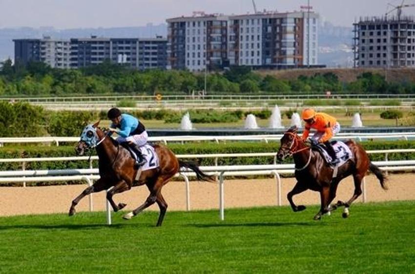 Blue Sunset sahibi Nimet Arif Kurtel kimdir? 98. Gazi Koşusu'nda Blue Sunset kaç ganyanı var?