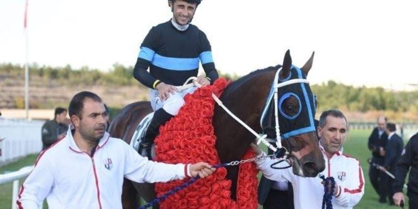 Blue Sunset sahibi Nimet Arif Kurtel kimdir? 98. Gazi Koşusu'nda Blue Sunset kaç ganyanı var?