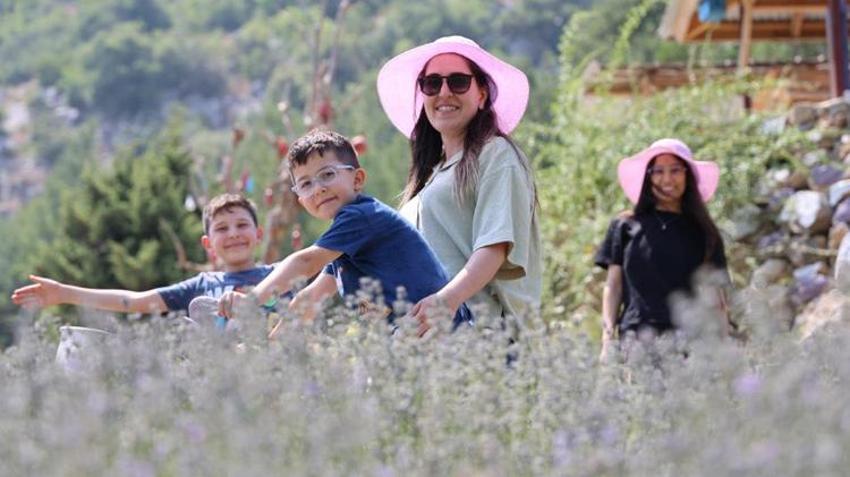 Kadınlar devlet desteğiyle atıl arazileri lavantalarla süsledi! Gelir kapısı oldu