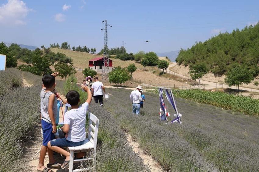 Kadınlar devlet desteğiyle atıl arazileri lavantalarla süsledi! Gelir kapısı oldu