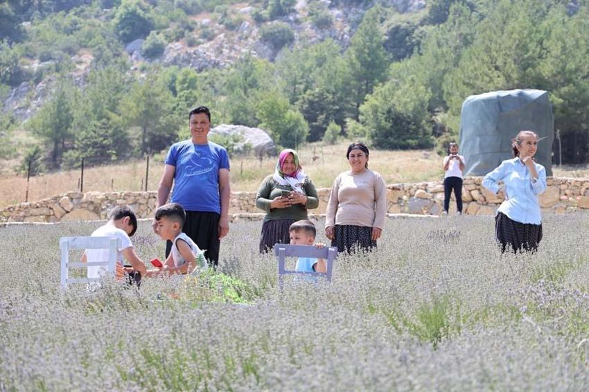 Kadınlar devlet desteğiyle atıl arazileri lavantalarla süsledi! Gelir kapısı oldu