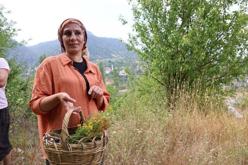 Adanalı kadınların şifa kaynağı mucize ot! "İlaç olarak kullanıyoruz"