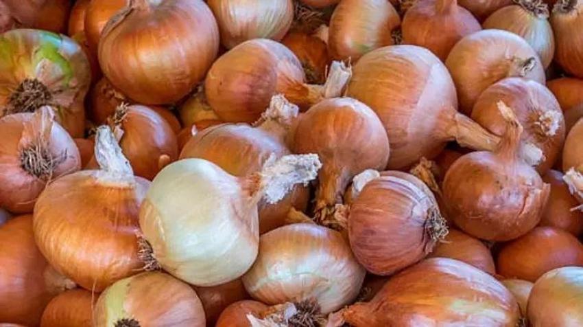 Soğan saklamak için bu taktik bulunmaz nimet; Aylarca küflenmez, filizlenmez!