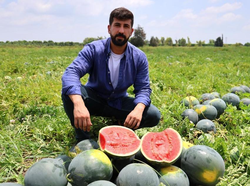 Adana'nın meşhur çekirdeksiz karpuzuna ilgi her geçen gün artıyor!