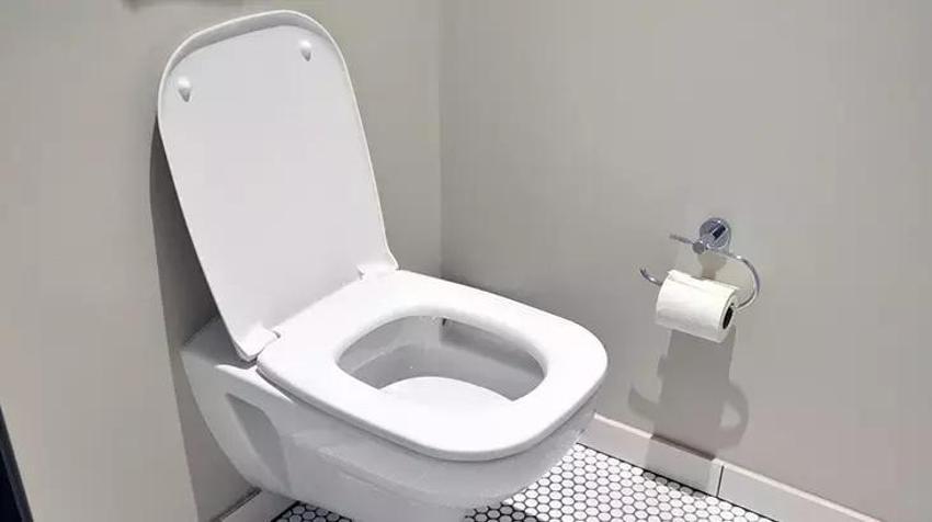 TikTok'ta bu kez klozet kapağı viral oldu! Bu video milyonlarca kez izlendi
