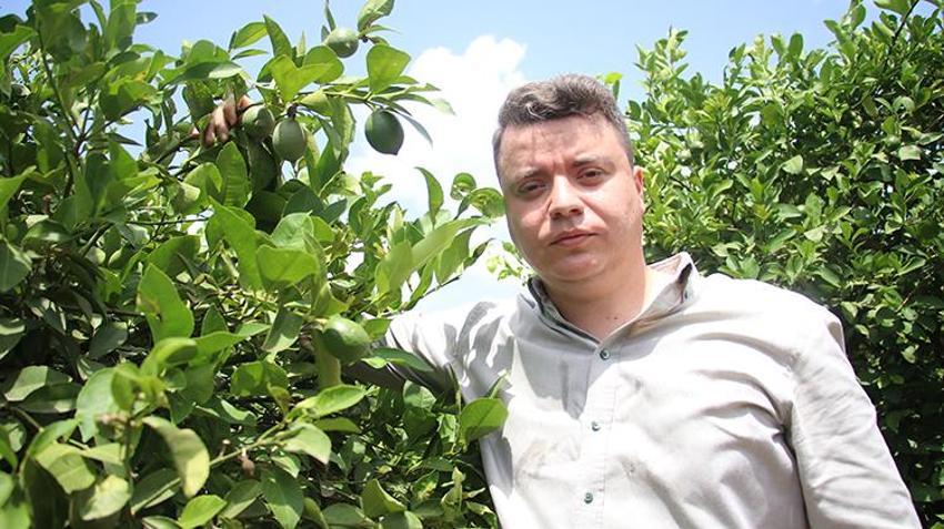  Haziran ayının zam şampiyonu limon Adana'daki hasatla dengelenecek 