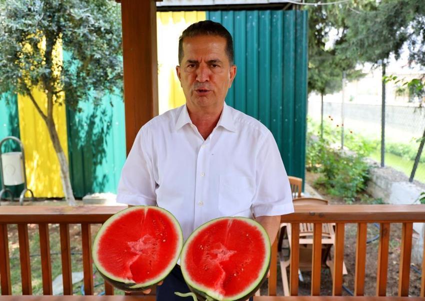 Adana'da yetişiyor, Avrupa'ya ihraç ediliyor! Talep patladı, kilosu 11 lira