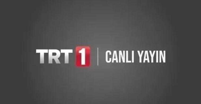 TRT 1 sinyal yok çözümü: TÜRKSAT 4A ayarı nasıl yapılır? TRT 1 frekans bilgi sorunu nasıl çözülür?