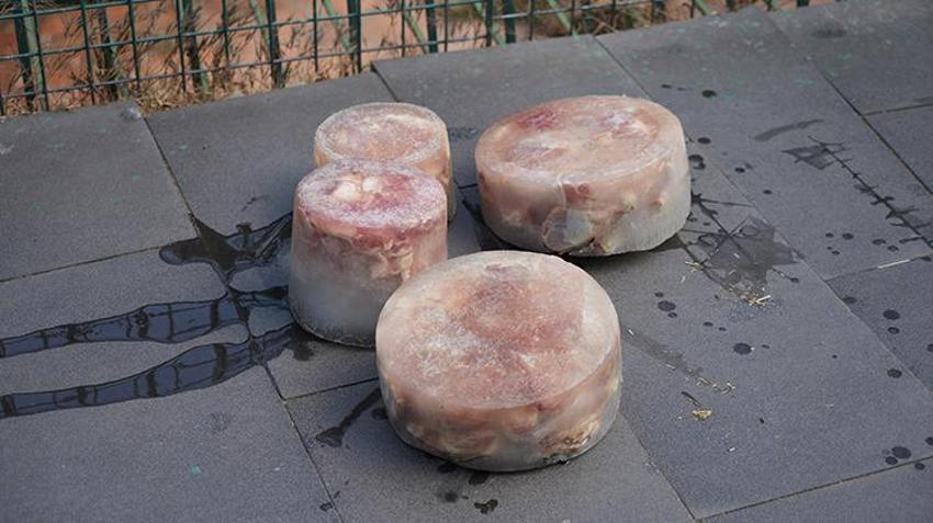 Kavurucu sıcaklarda hayvanlar unutulmadı! Buzlu kokteyl hazırlandı 