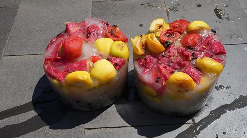 Kavurucu sıcaklarda hayvanlar unutulmadı! Buzlu kokteyl hazırlandı 