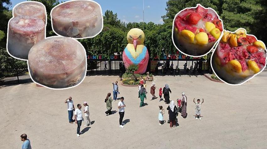 Kavurucu sıcaklarda hayvanlar unutulmadı! Buzlu kokteyl hazırlandı 