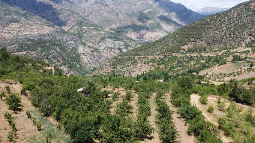 Adana'da üretiliyor, dünya markası olmaya aday! Rusya ve Avrupa ülkelerine ihraç ediliyor