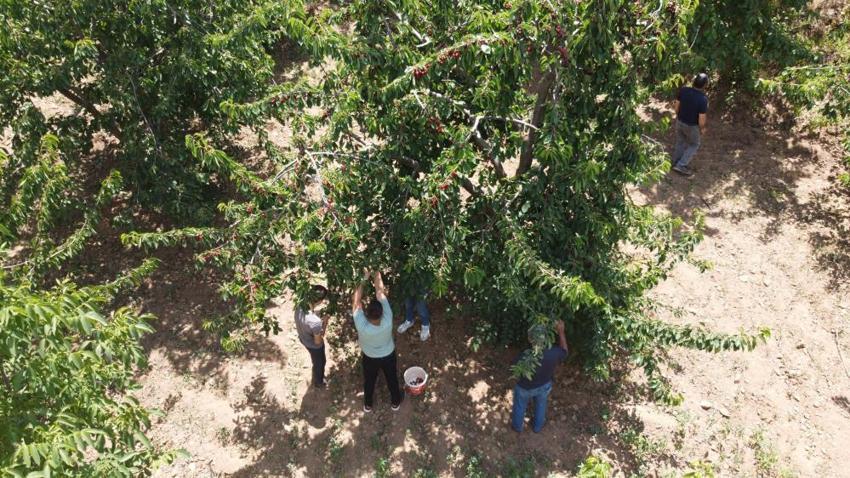 Adana'da üretiliyor, dünya markası olmaya aday! Rusya ve Avrupa ülkelerine ihraç ediliyor
